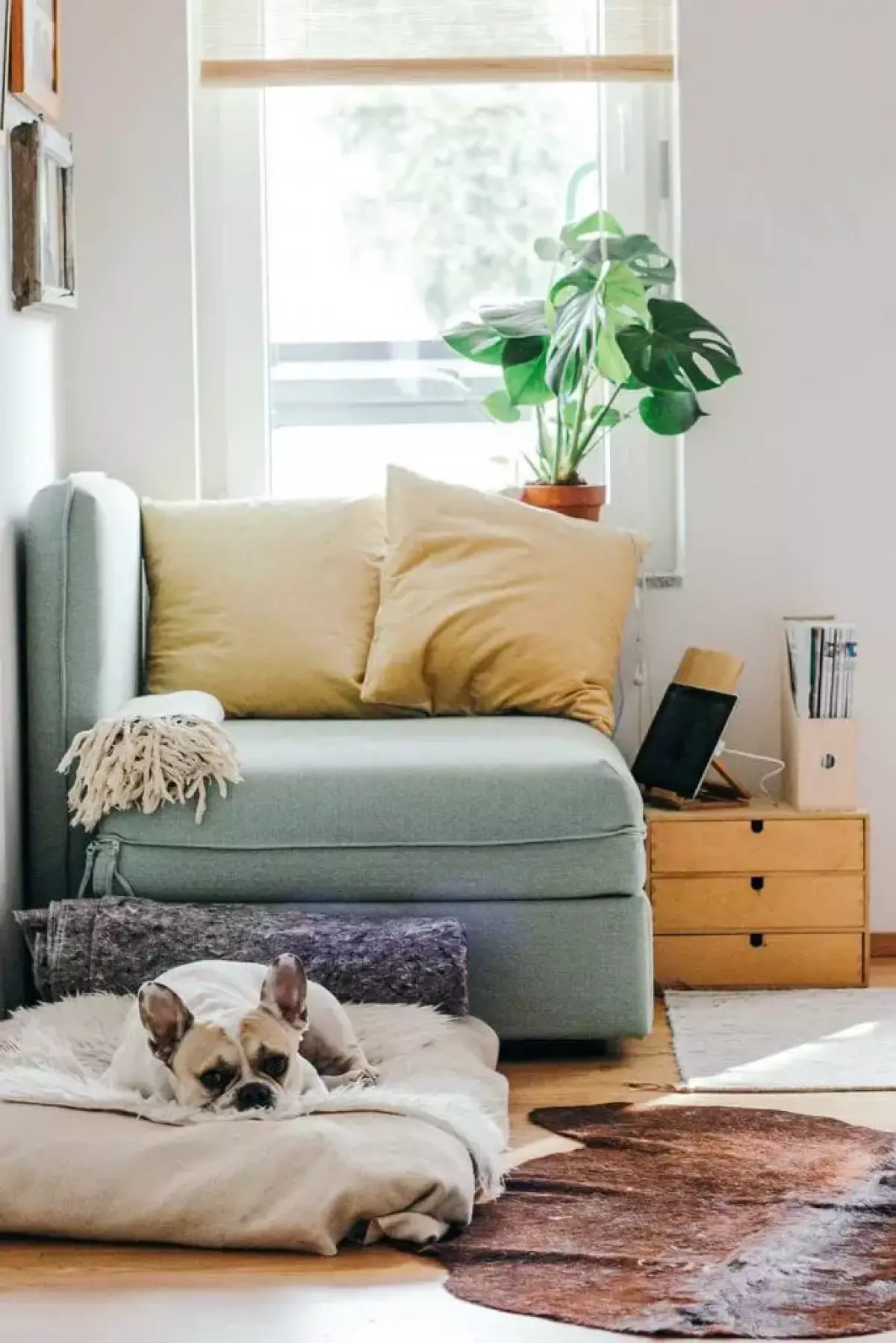 Living room corner example for feng shui