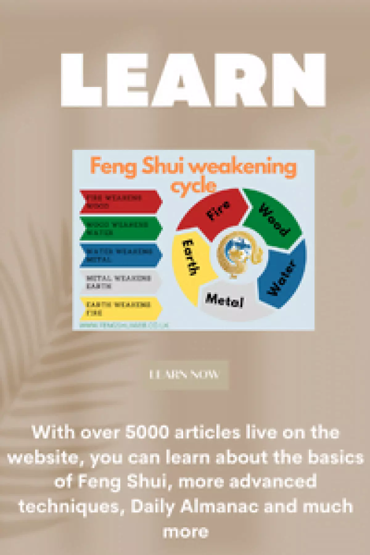 Learn at the Feng Shui Store