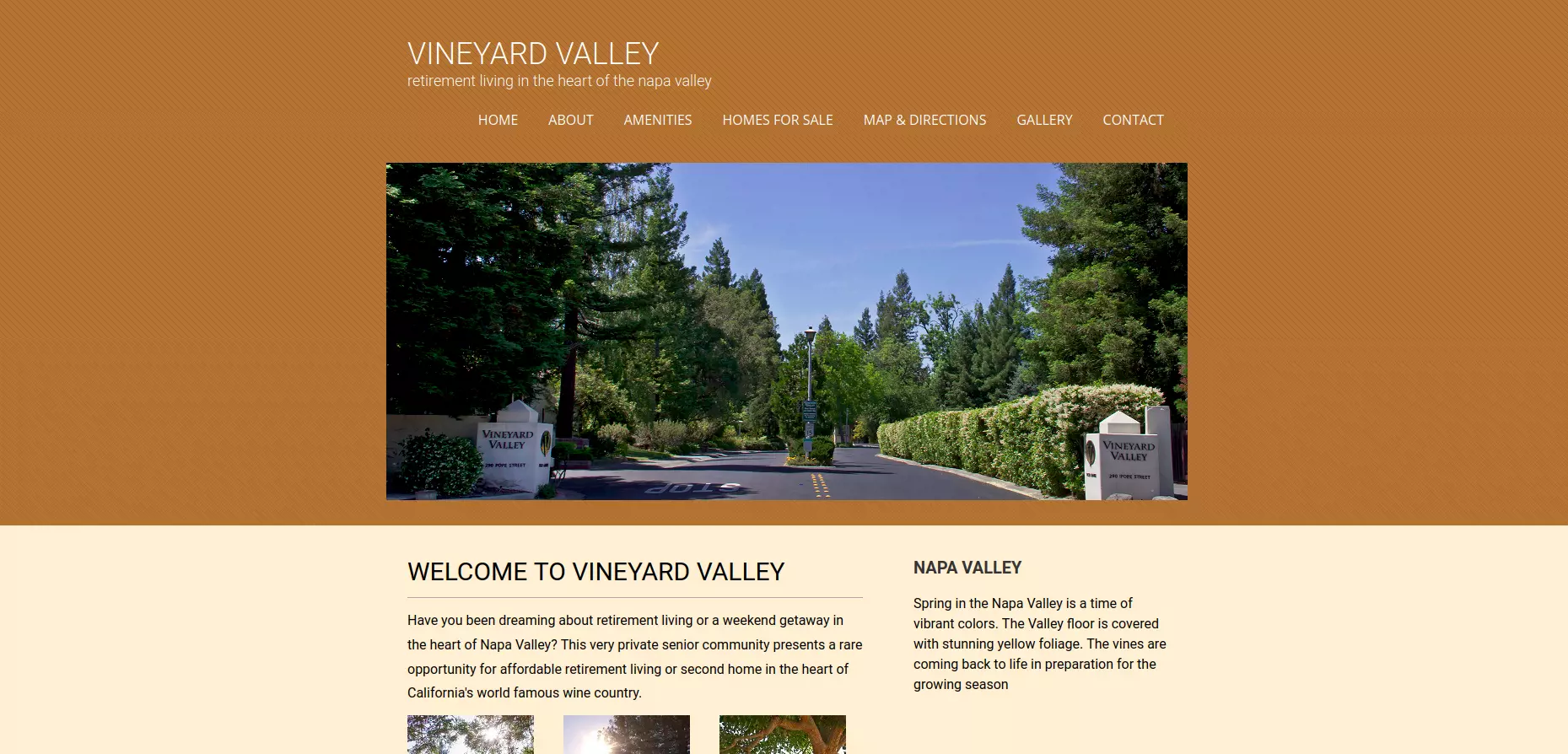 Vineyard Valley Estates Real Estate Website Example