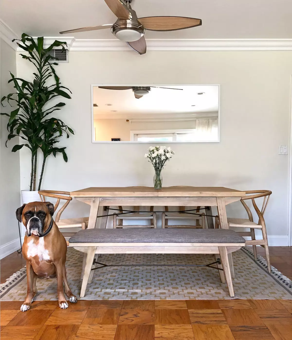 A dog is sitting next to a wooden dining table, wooden bench, and dining chairs.