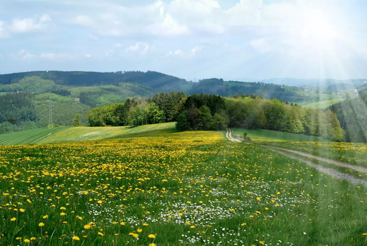 Green Land Light Image