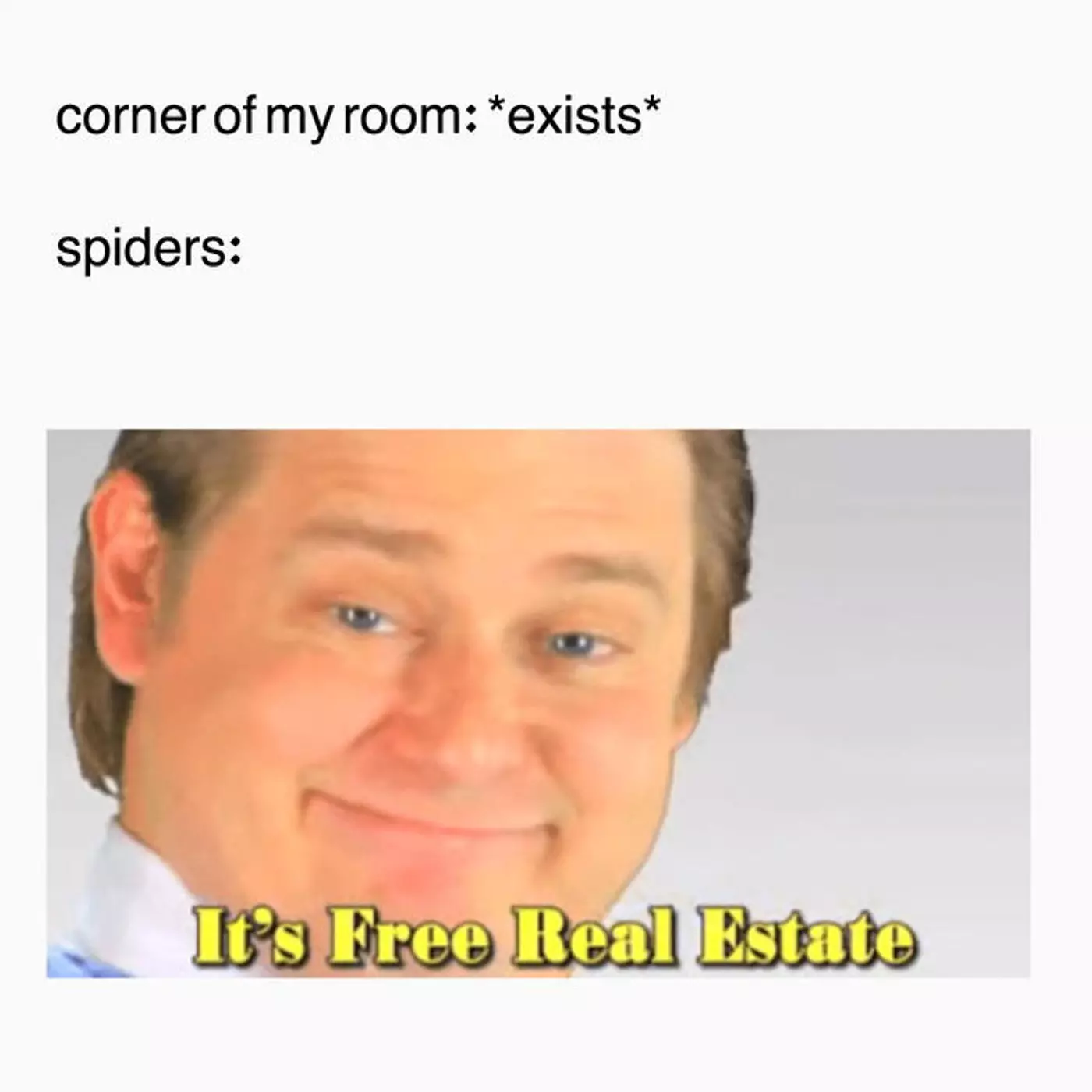 Free real estate meme refers to an empty corner in the room