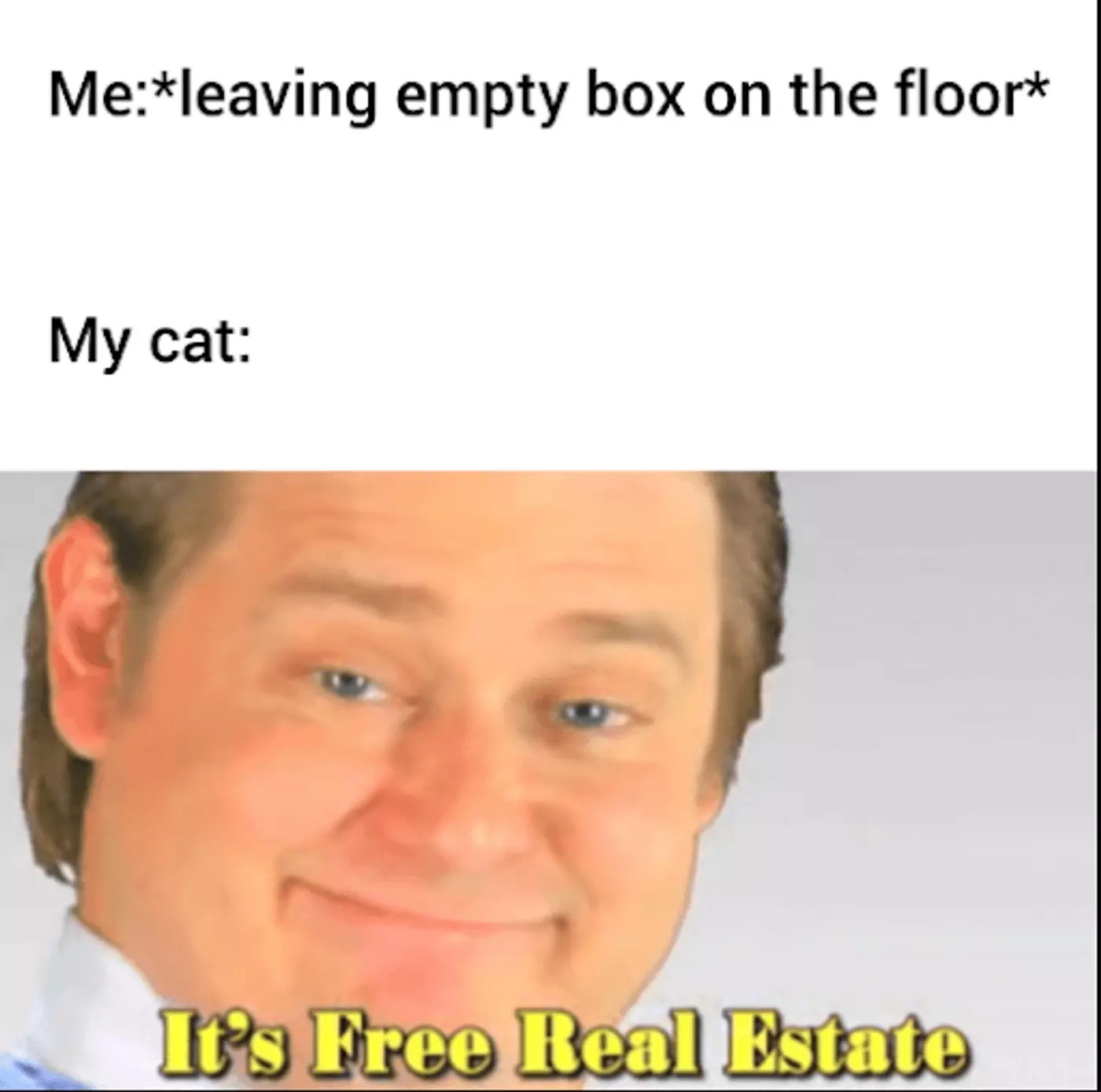 Real estate meme about cats and empty boxes