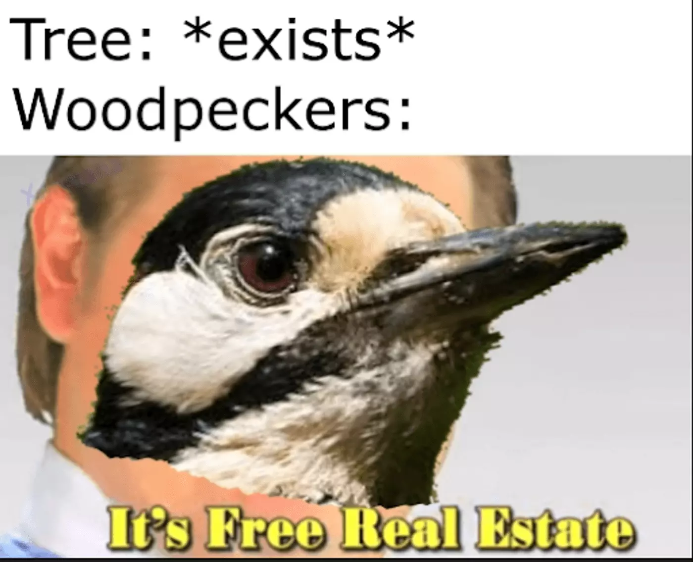 Meme referring to free space on a website