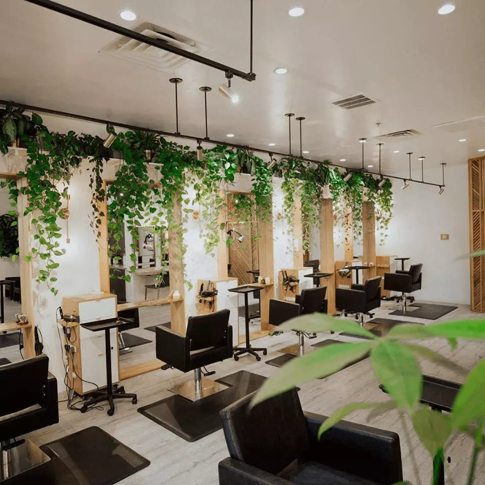 Neoclassical Hair Salon