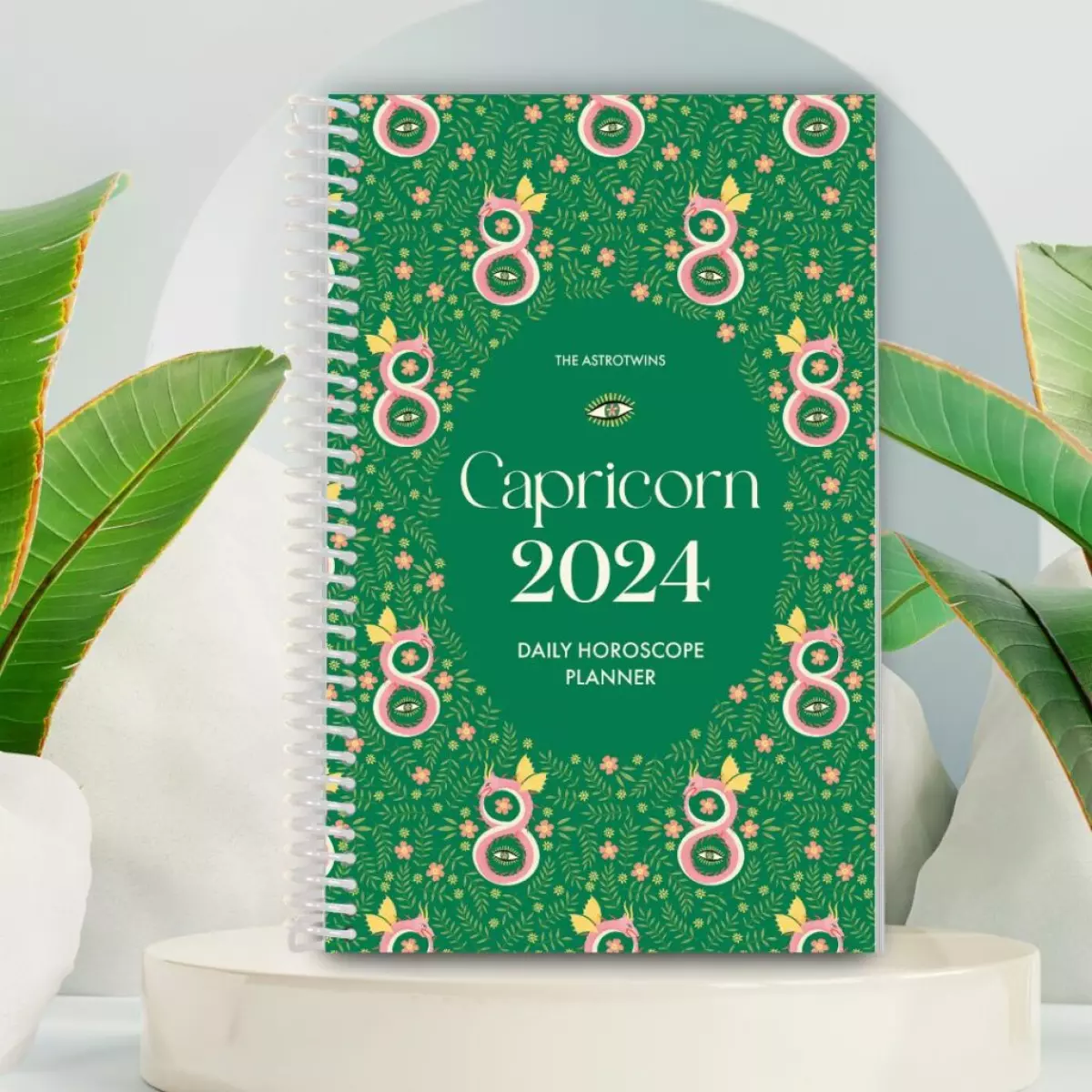 capricorn 2024 horoscope planner astrotwins