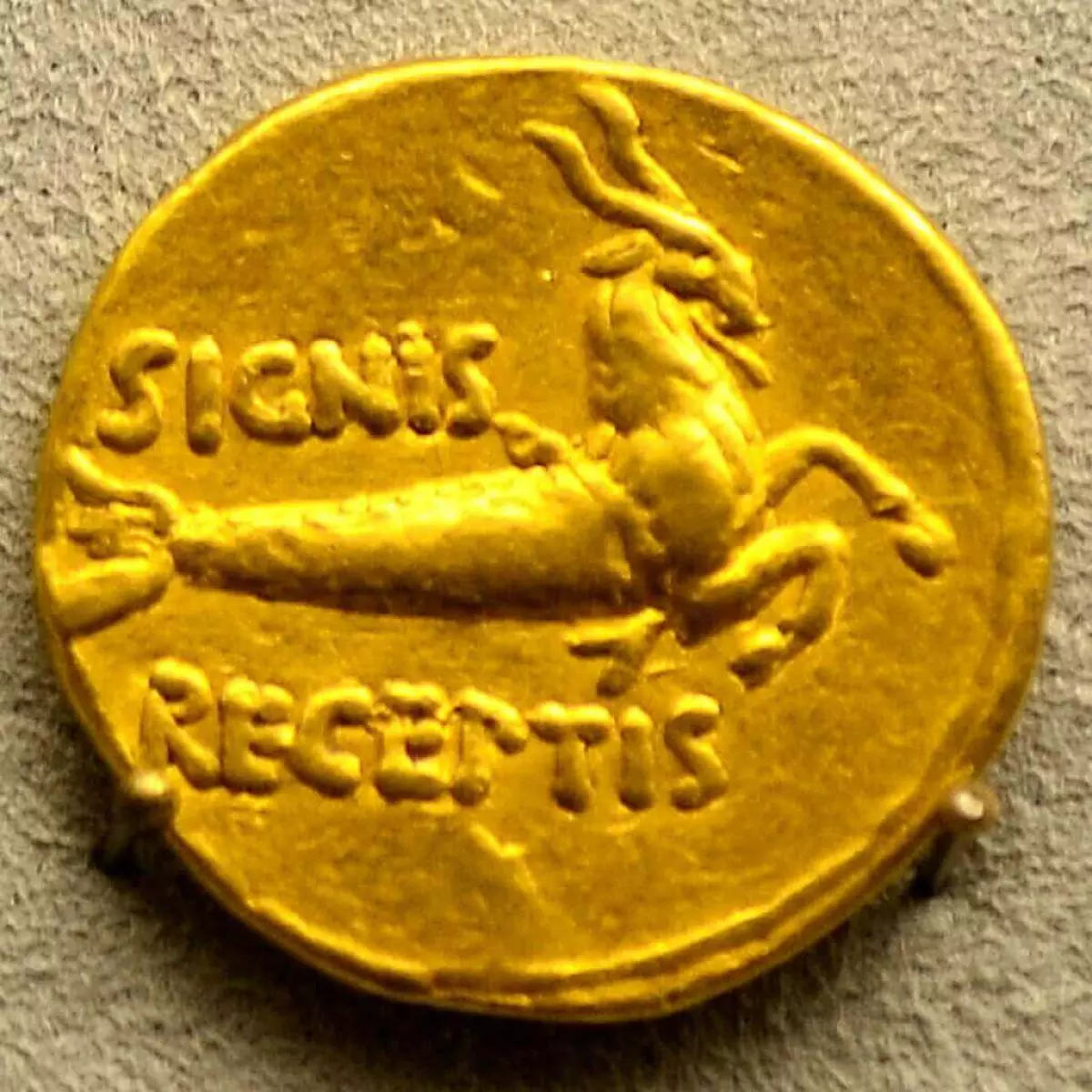 A Latin coin depicting the Sea Goat