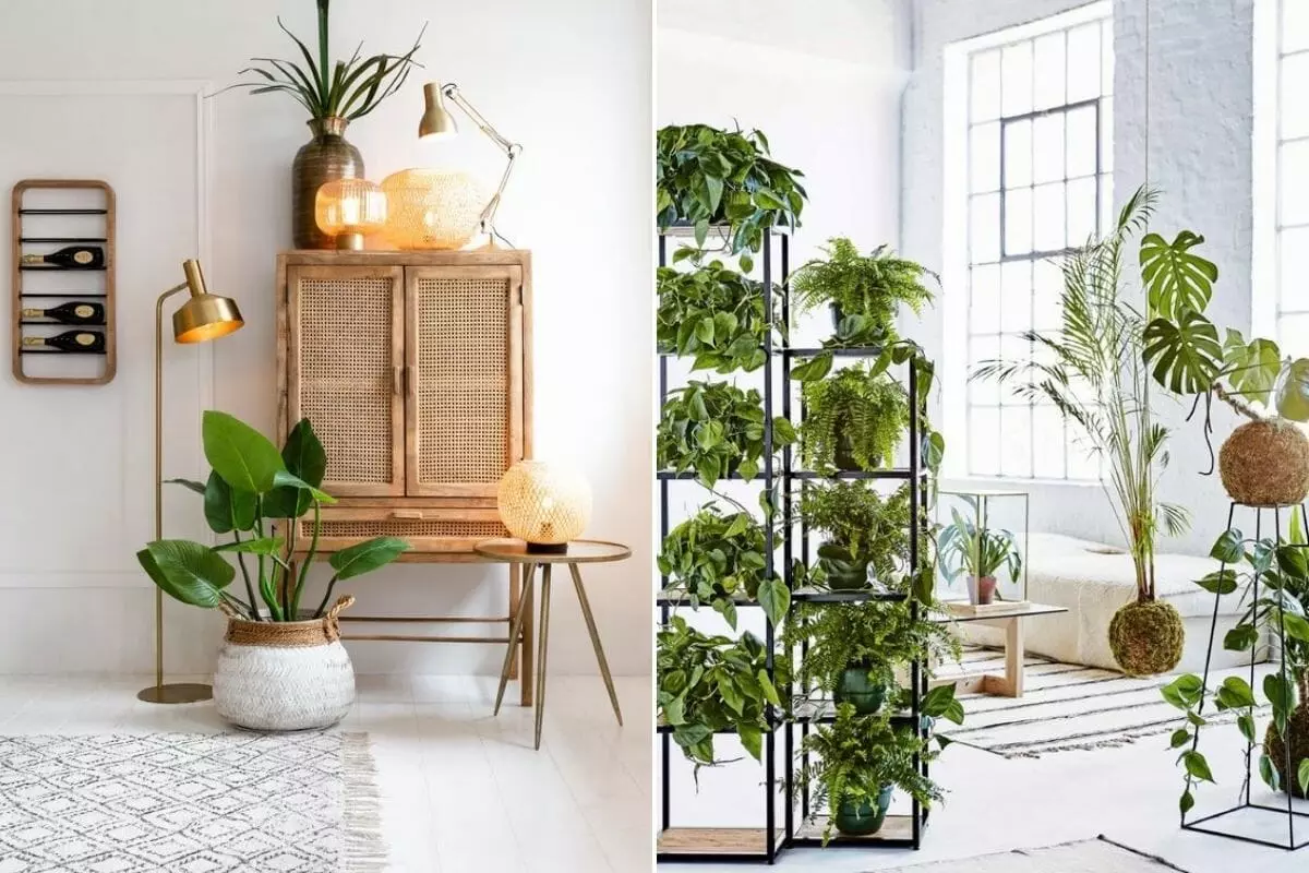 Modern boho interior decorating with plants - Jessica S.