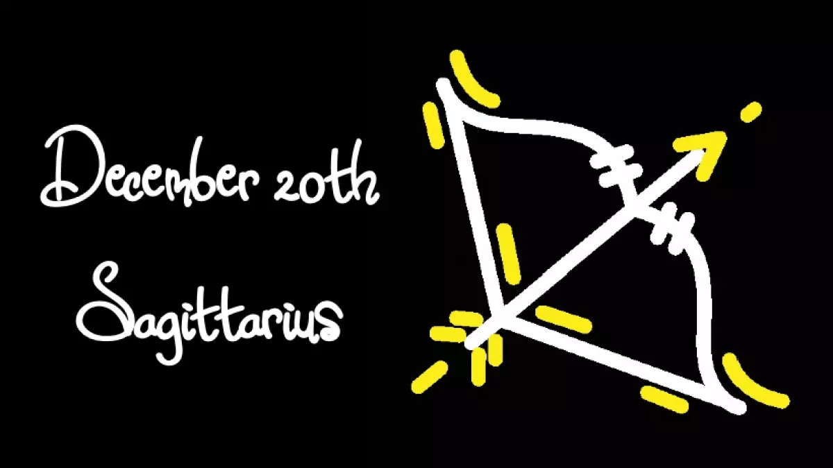 BORN DECEMBER 20TH? YOUR SIGN IS SAGITTARIUS