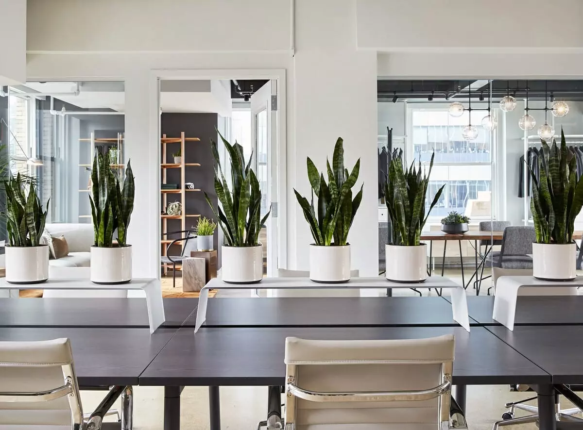 White and black interior design for an office space