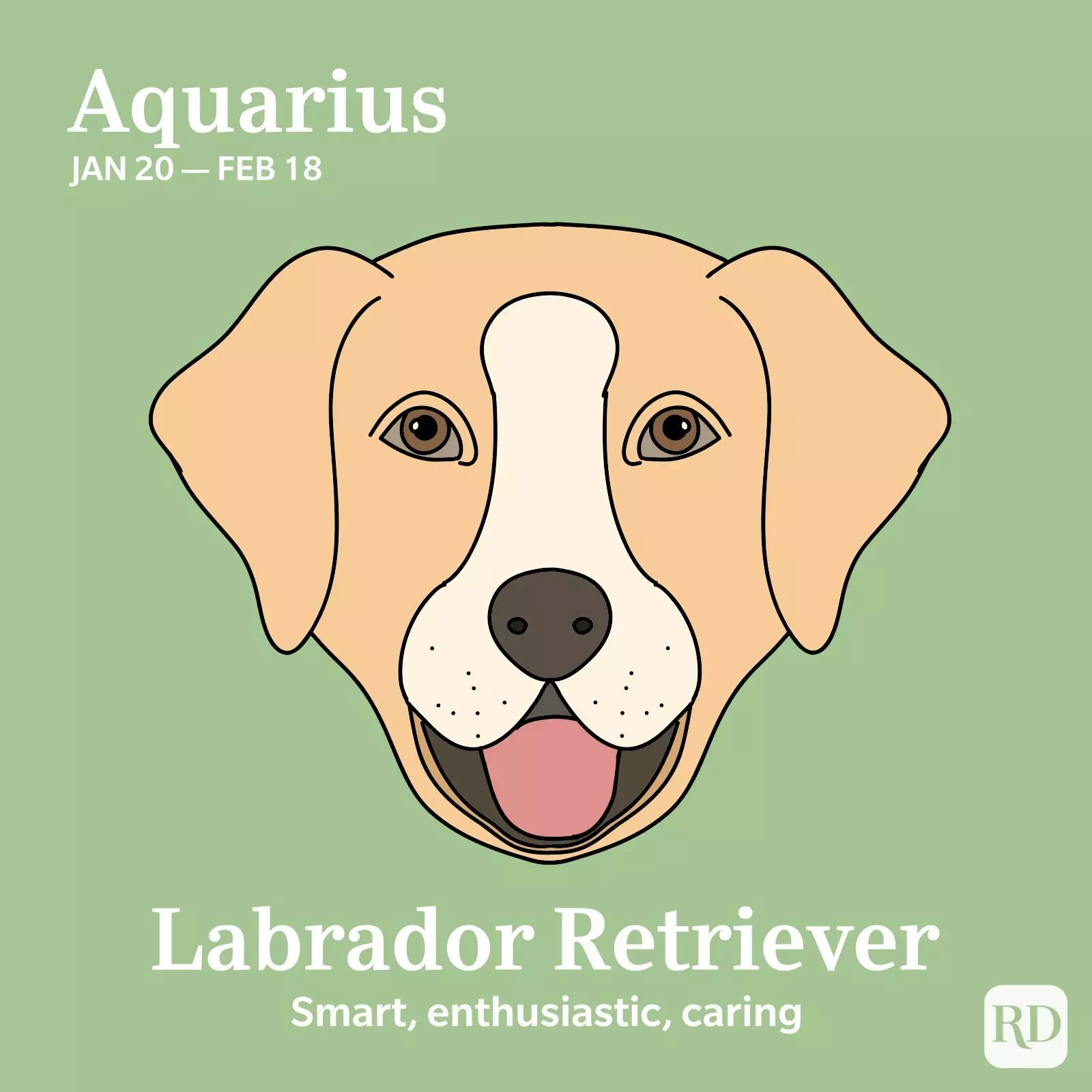 Aquarius: Labrador Retriever