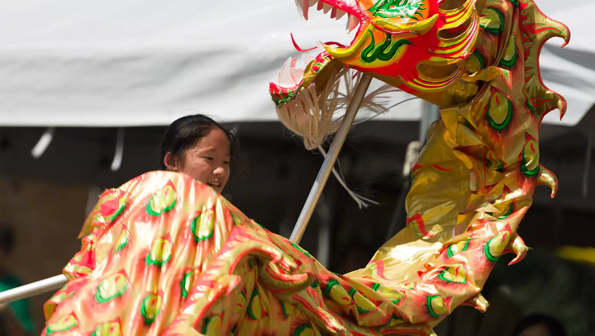 Dragon Dancers