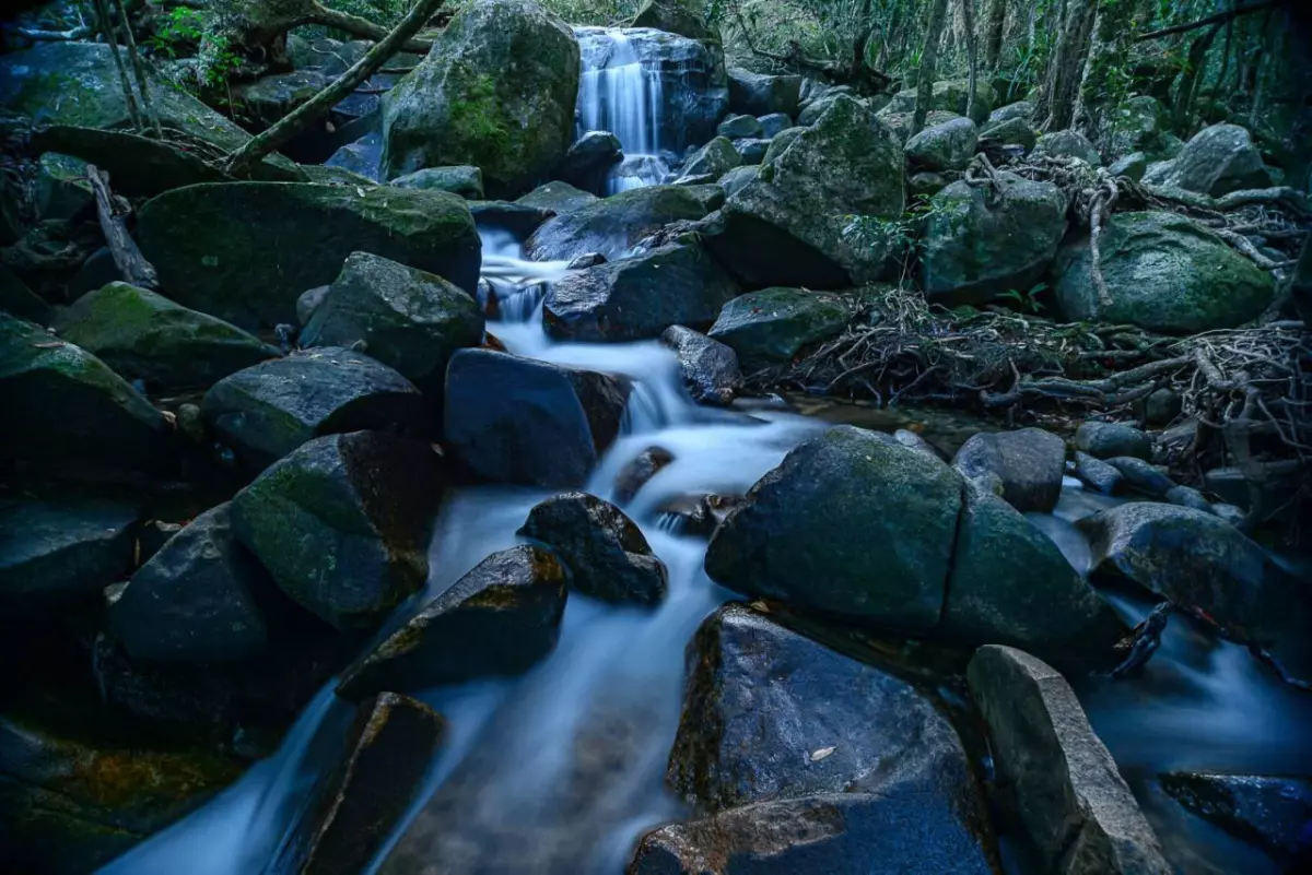 The pristine waters of the Daintree Rainforest