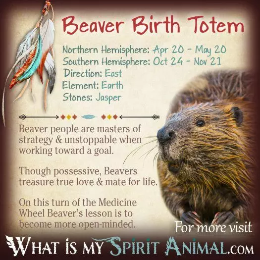 Native American Zodiac Bear Birth Totem