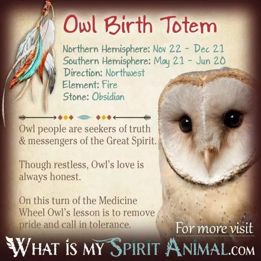 Native American Zodiac Falcon Birth Totem