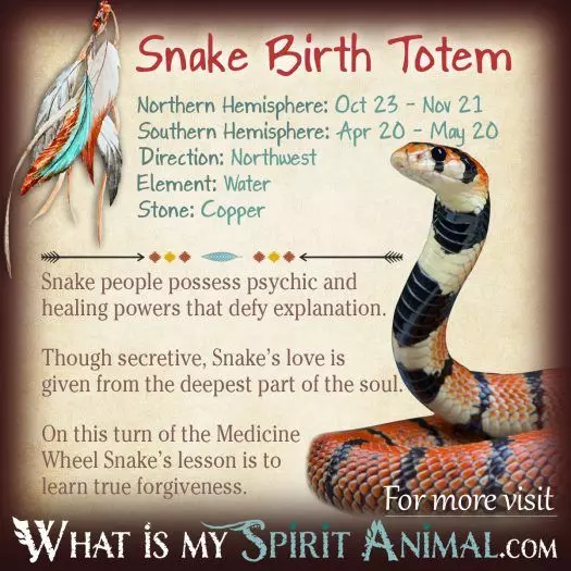 Native American Zodiac Owl Birth Totem