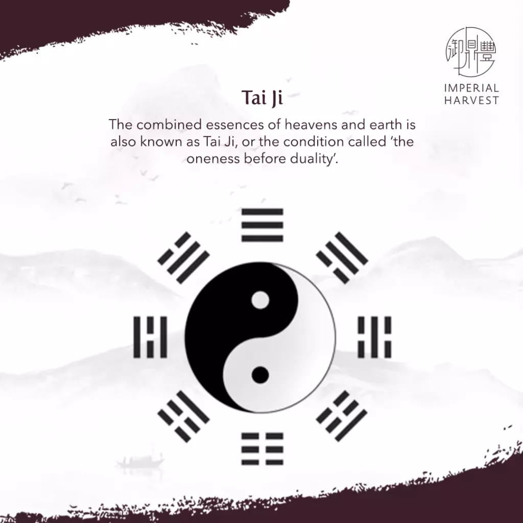 Image illustrating Tai Ji, the concept of the union of heaven and earth in a perfect circle.