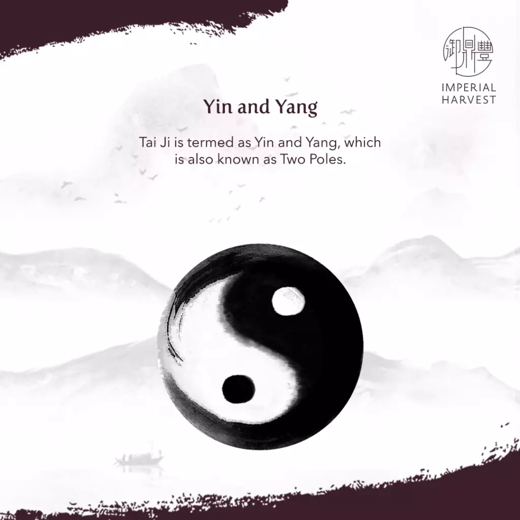 The Yin Yang symbol.