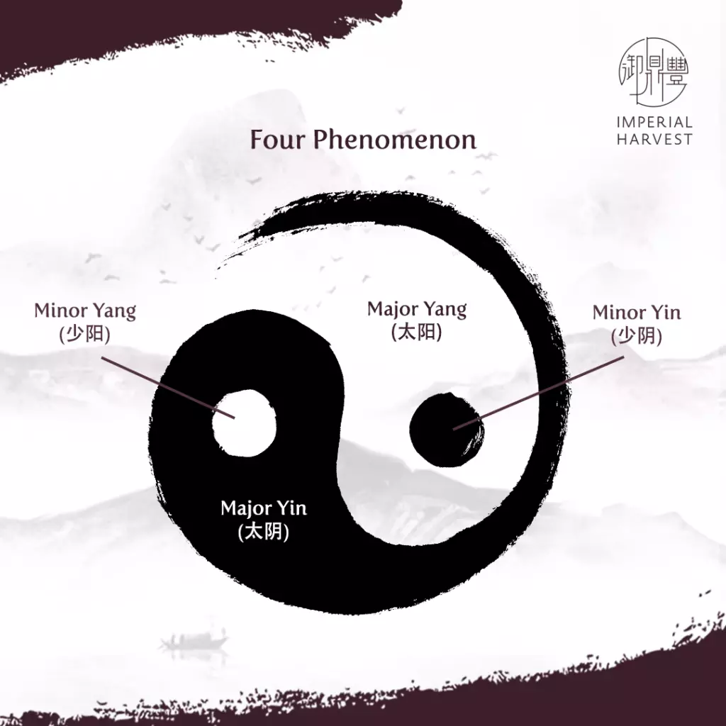 A diagram illustrating the four phenomenon within the yin yang symbol.