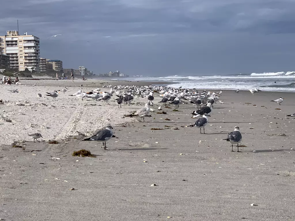 A beachside condo stands tall, representing real estate privacy.