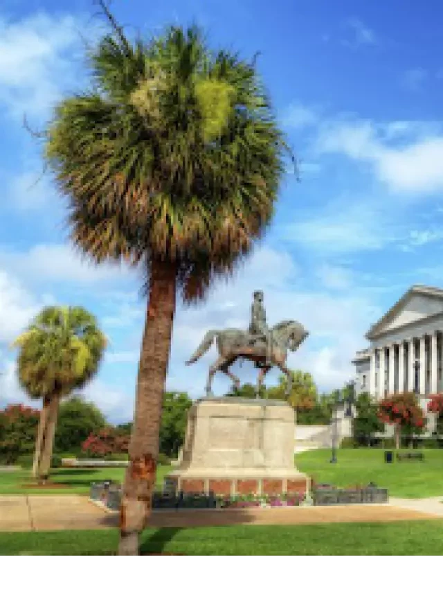   South Carolina Property Taxes: A Guide to Lower Rates