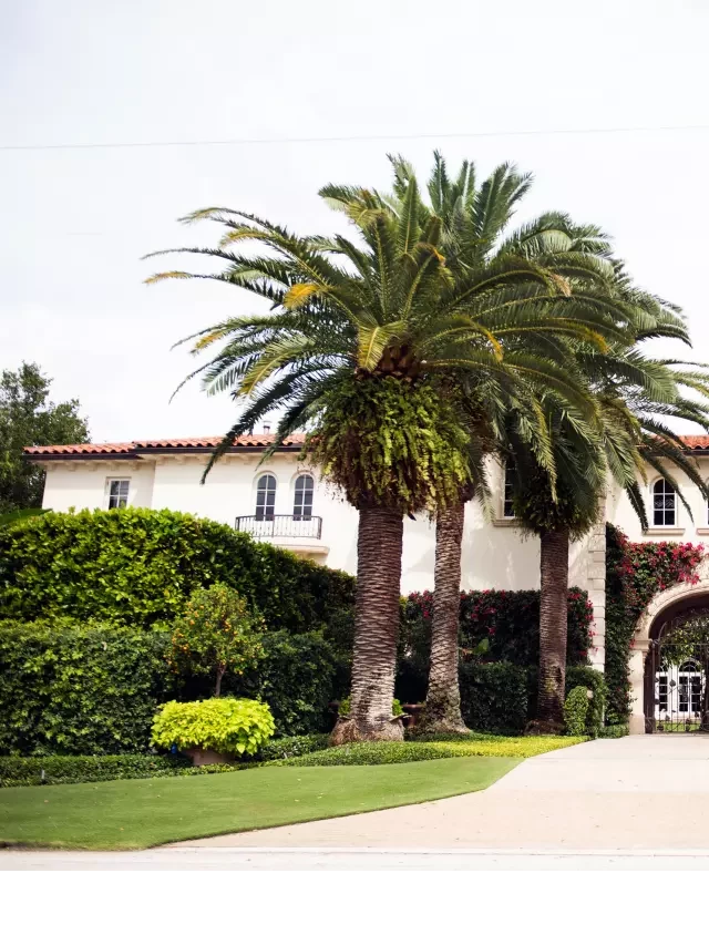   9 Palm Beach Real Estate Deals Reach $40M in 2023, Including a Record-Setting $170M Sale