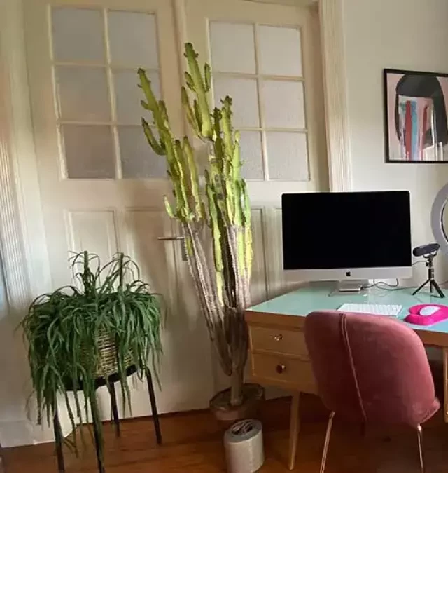   How to Create a Productive Home Office with Feng Shui