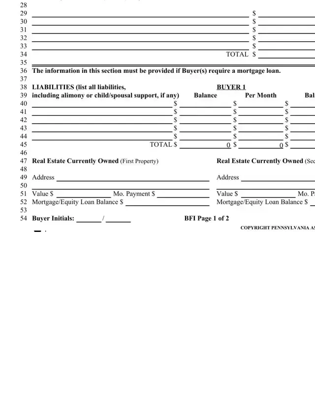   Fill Out and Use the Buyer Financial Information Form