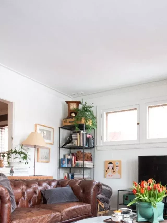   Living Room Decorating 101: Transform Your Space with Style