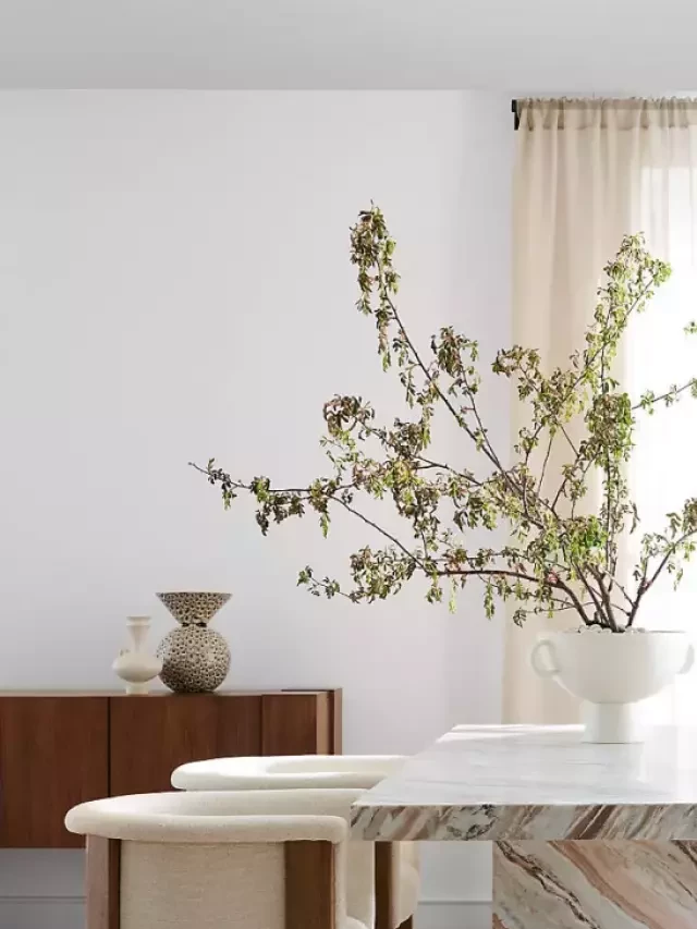   Embracing Organic Modern Interior Design: Create a Warm, Serene Space