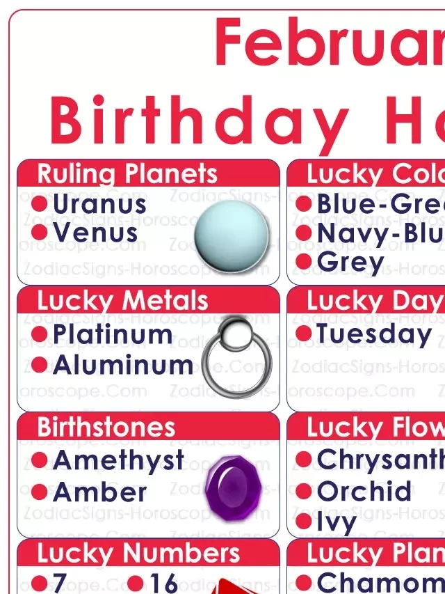   February 13 Zodiac (Aquarius) Horoscope Birthday Personality and Lucky Things