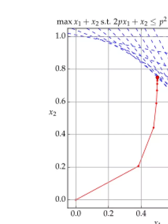   Interior-point Methods: A Breakthrough in Optimization