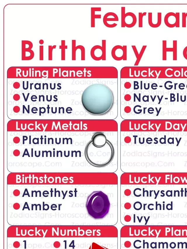   February 16 Zodiac (Aquarius) Horoscope Birthday Personality and Lucky Things