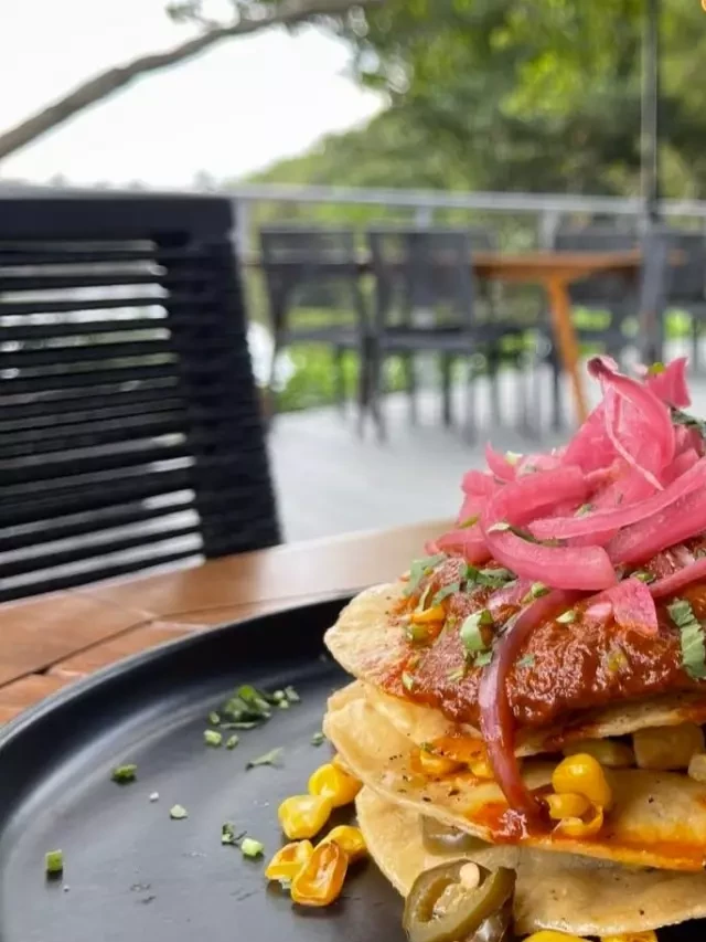  Best New Restaurants for Outdoor Dining in Palm Beach County: From Mexican to Seafood