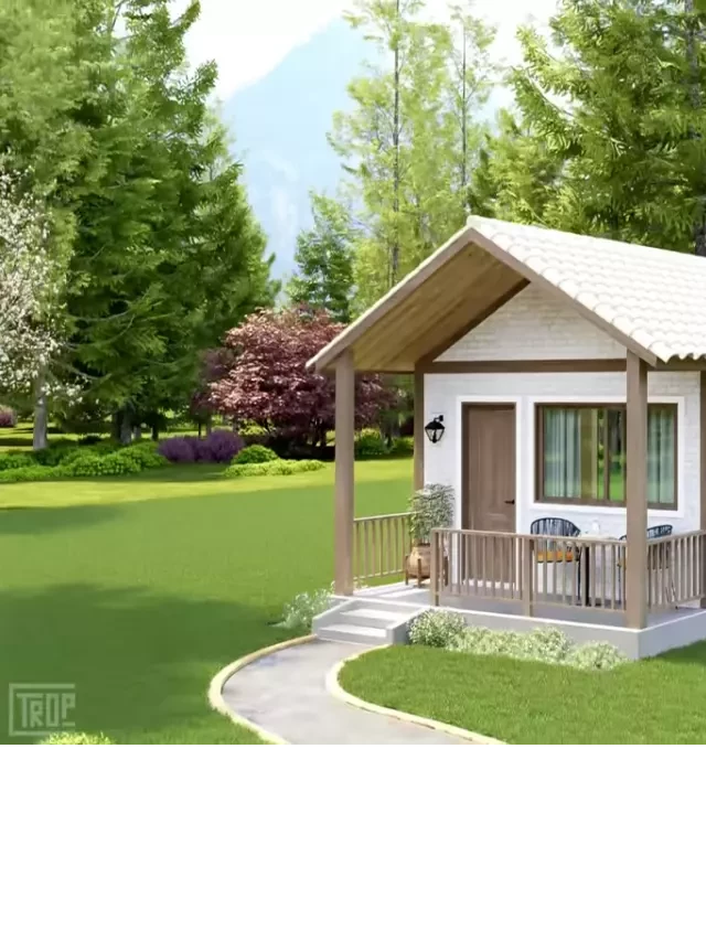   Functional 40m2 Tiny House Design: Creating a Big Living Experience in a Small Space