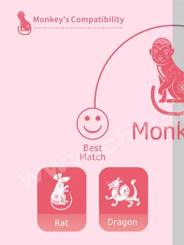   Year of the Monkey, 2024 Predictions