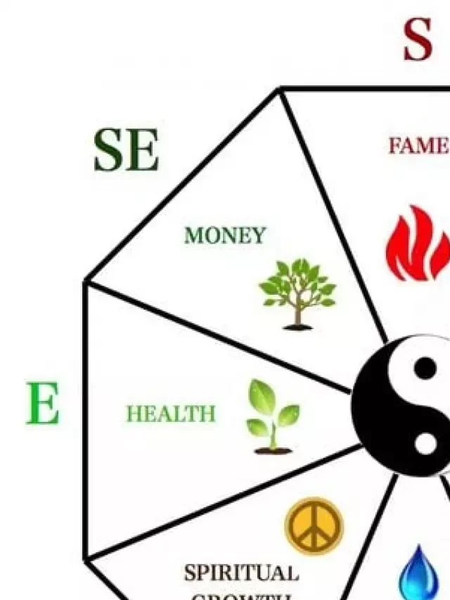   The 10 Best Feng Shui Plants For Home &amp; Business: Enhance Your Health &amp; Wealth